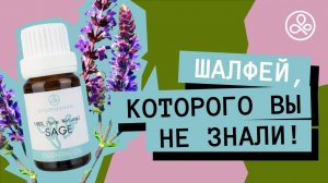 Масло шалфея: свойства и применение
