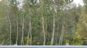 День 3. На машине от Красноярска до Дагестана