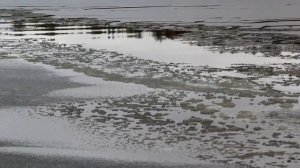 Блюз осенних листьев (без звука)