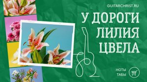 У дороги лилия цвела на гитаре (на гитаре) - ноты и табы