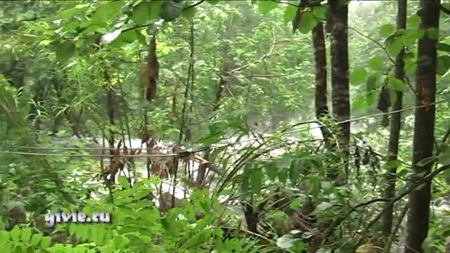 Последствия тайфуна.  часть 1 Наведение переправы.