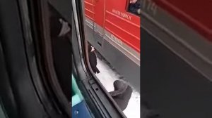 Беспредел!Менты ломятся в кабину машиниста/The cops are breaking into the driver's cab