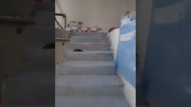 Альфа дом 3 смотреть онлайн