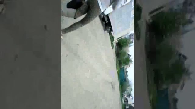 Vlog #2 продолжение 2 смотреть онлайн