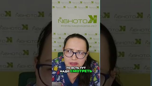 Кормление собак | Важность клетчатки и рекомендации