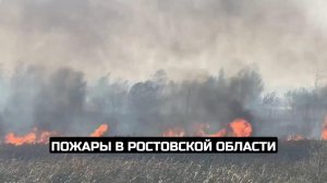 Пожары в Ростовской области