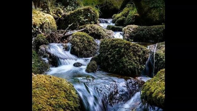 Германия. Шварцвальд. Засбахвальден ( Sasbachwalden ).
