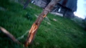 Пьяный мужик вырвал дверь в машине