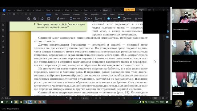 9 класс_1_2.10_Б_Спинной мозг