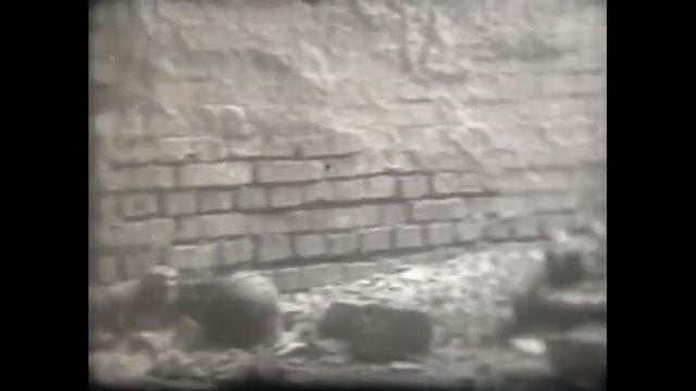 Хроника