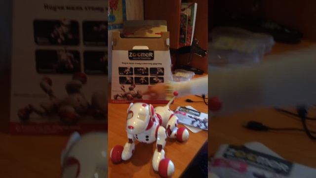 Зуммер собачка!!! смотреть онлайн