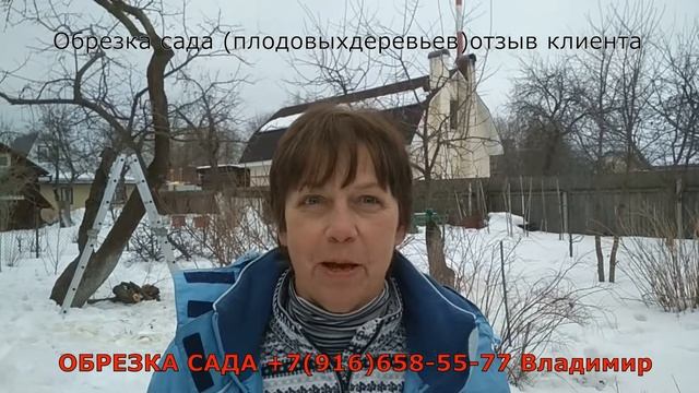 Обрезка сада (плодовых деревьев) отзыв Ольги. Ленинский район.