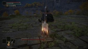 Elden Ring Ночной всадник (Замогилье) (28)