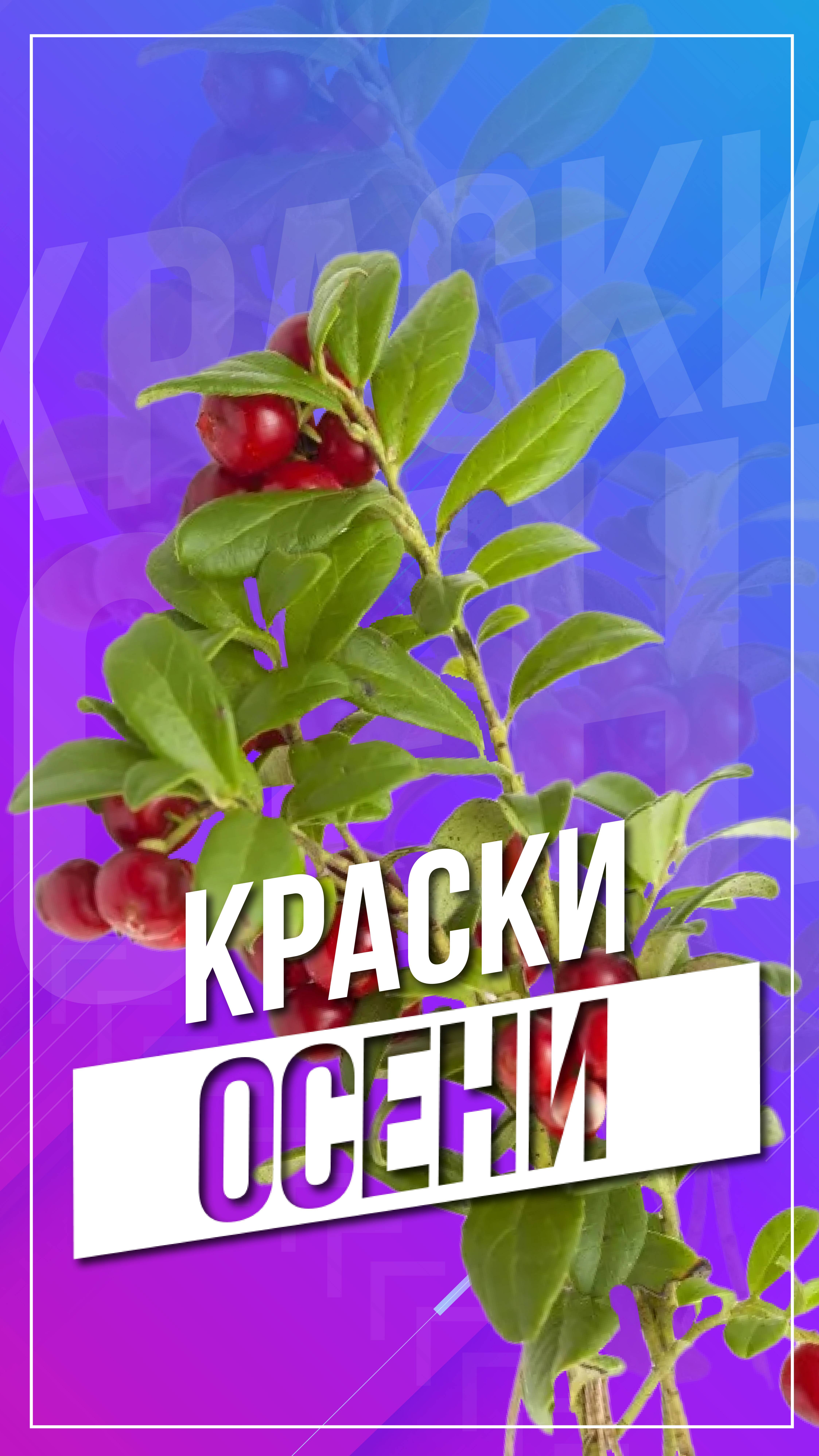 Краски осени