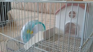 Клетка для хомяка