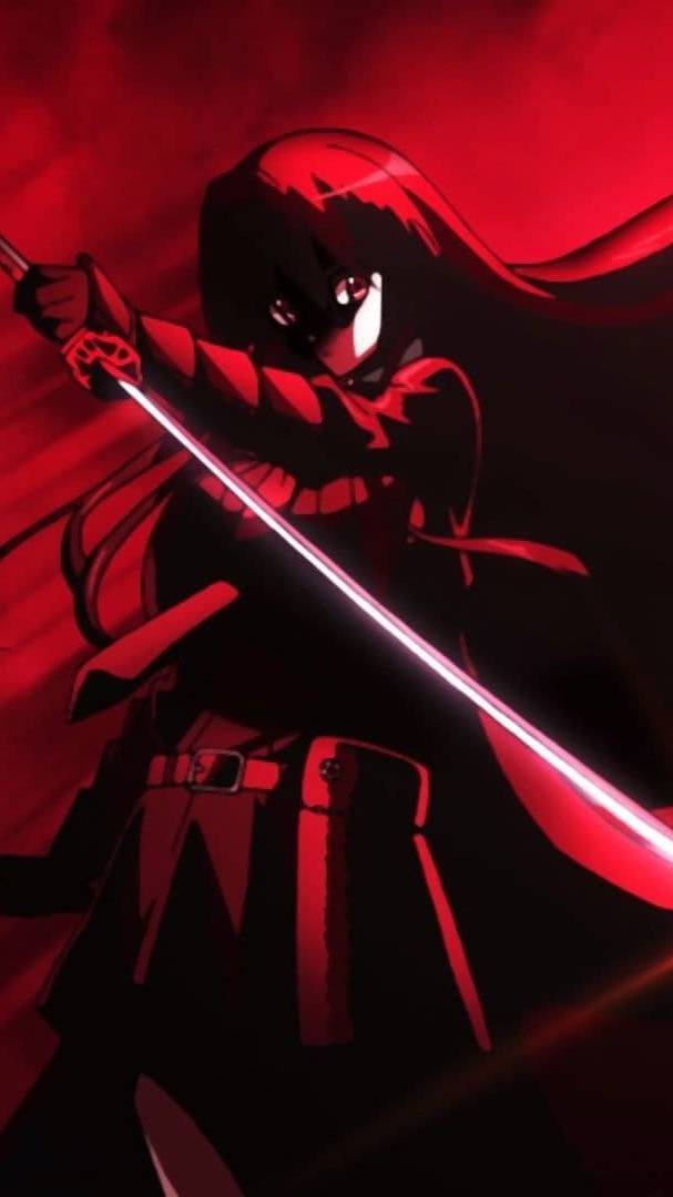 Akame ga Kill смотреть онлайн