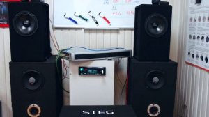 Тест топовых компонентов STEG SG165+STEG SE165. Сабвуфер STEG ST12