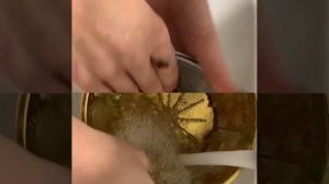 Очистка соковыжималок GARLYN J-100 и BRAUN J 700