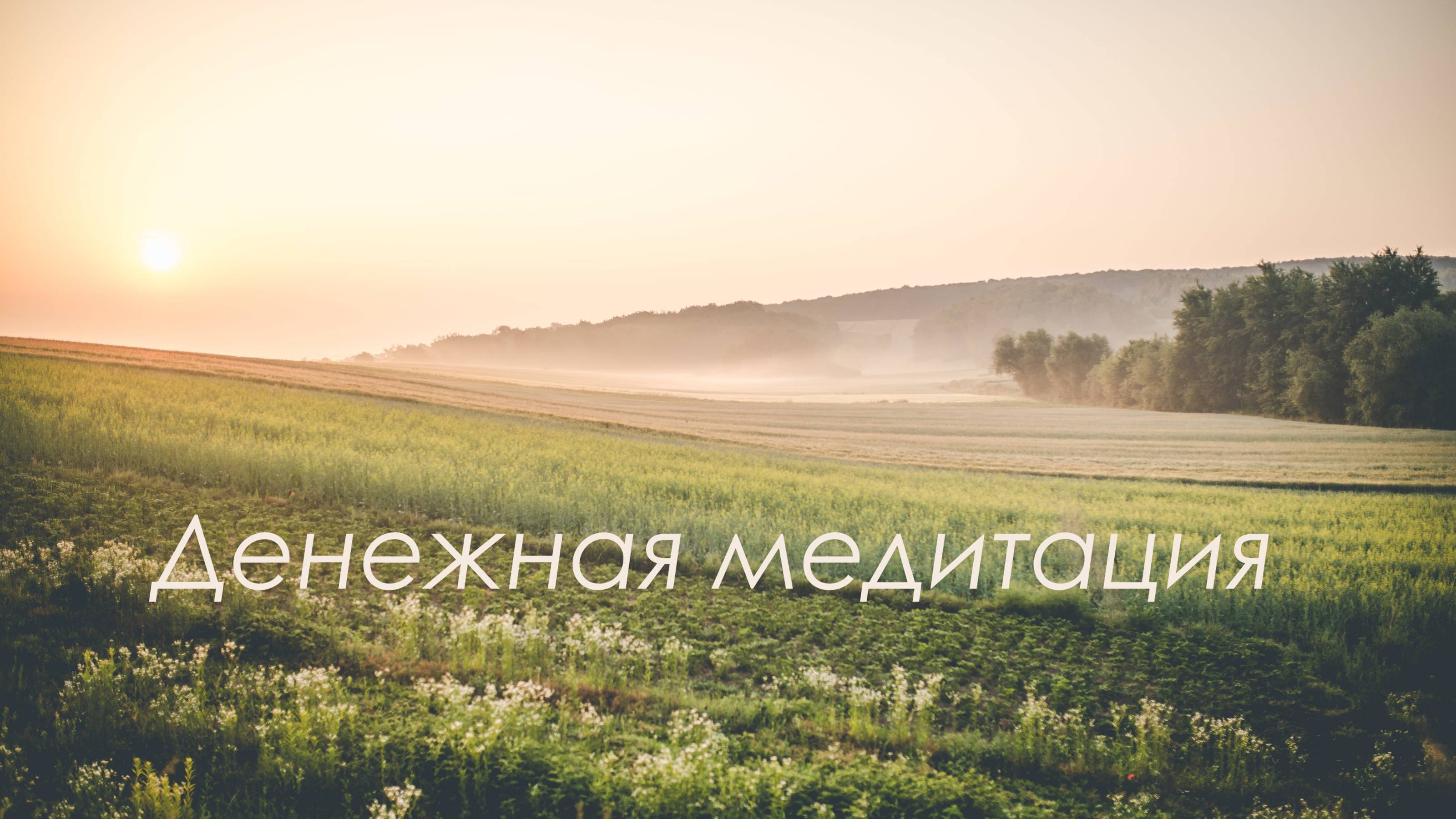 2 Денежная медитация. Я, моя родовая система и общество в контексте моих убеждений о деньгах.