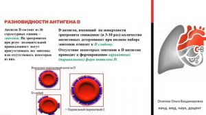 Осипова. имун. безопасность