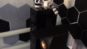 KEF R5 meta + QUAD Artera + QUAD Artera Pre + ЦАП Metrum Amethst + конвертер Audiophilleo MK I