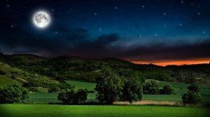 звёздное небо любви