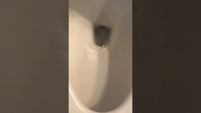 Bath bome смотреть онлайн