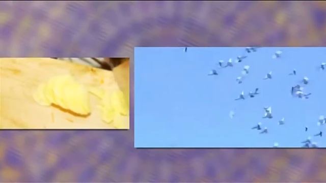 Разные вкусы - "Утро с вами" 05.05.2016 смотреть онлайн