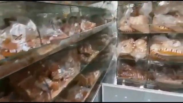 Four seasons bakery and sweets Jubail Saudi Arabia #pastries смотреть онлайн