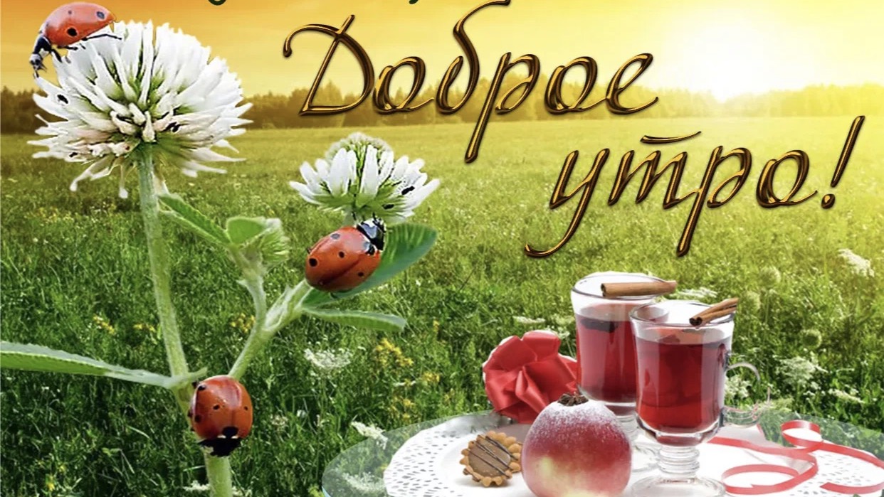 Доброе утро. Счастья вашему дому.