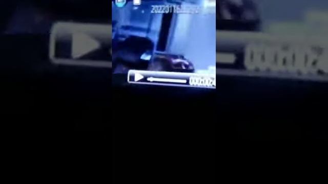 Момент врыва полиции к Папичу и экскурсия по комнатам смотреть онлайн