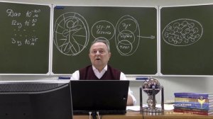 Микровселенная человекаavi