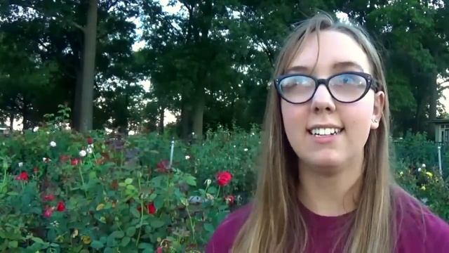 What led Me to the Adult Industry смотреть онлайн