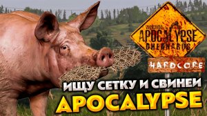 DAYZ APOCALYPSE HARD 💥 ЛОВЛЮ КРАБОВ И СВИНЕЙ