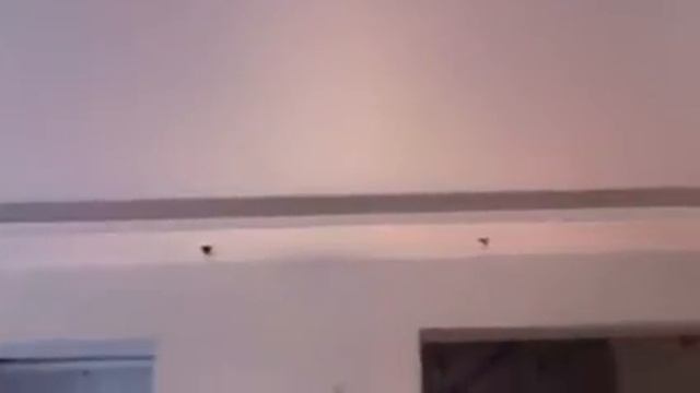 Строительство домов и коттеджей с компанией Эра Строй