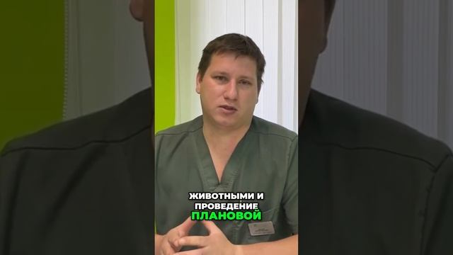 Как предотвратить болезнь у животных|важные советы