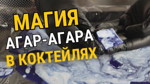 Магия агар-агара в коктейлях: создаем гарниши, как в топ-баре SIPS