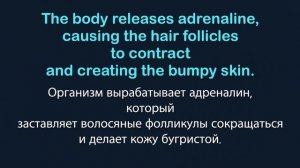 Онлайн урок английского средний уровень | Рассказ на английском среднего уровня B1