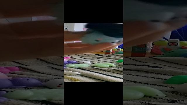 испортила лапки?