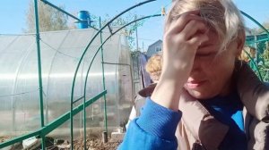 Забрала с дачи маму,кошек, покупки.