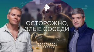 Осторожно, злые соседи — Невероятно интересные истории (03.05.2023)