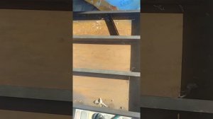 Реальный отзыв покупателя / Двери Straj / Страж - что внутри?!