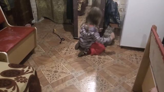 Наш кот Пушок кот злится дети играют с котом смотреть онлайн