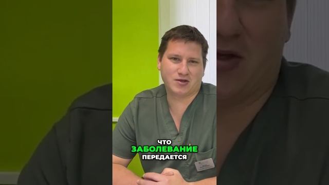 Всё о переносчиках заболеваний| дикие и домашние собаки