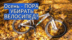 Осень - ПОРА УБИРАТЬ Велосипед?