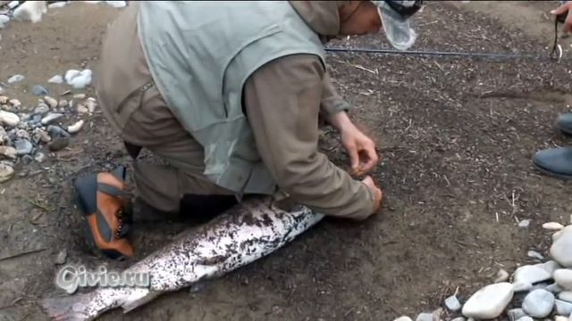 Сплав и рыбалка на р. Хуту 2015 Таймень