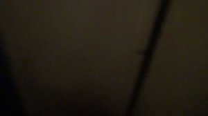 Пассажирский лифт V=0,71 м-с, Q=320 кг (4638)