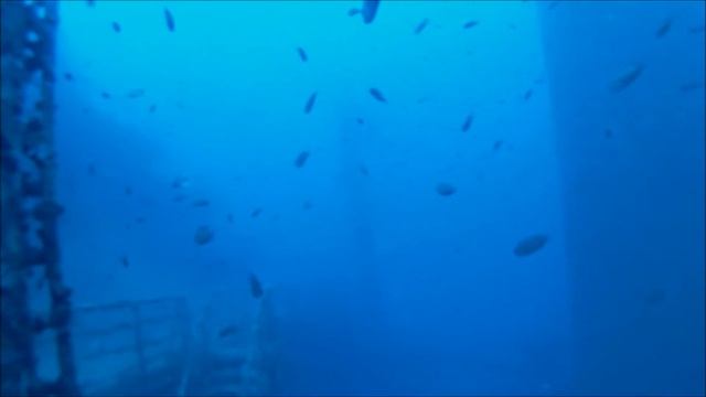 Immersione Relitto Haven 23 06 2014 смотреть онлайн