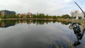 Мормышинг!Мормышинг Уклеечка Плотвичка Окуньки,солнце осень.