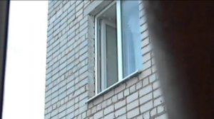 Сумасшедшие соседи